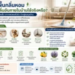 น้ำยาถูพื้นกลิ่นหอมช่วยลดกลิ่นอับภายในบ้าน